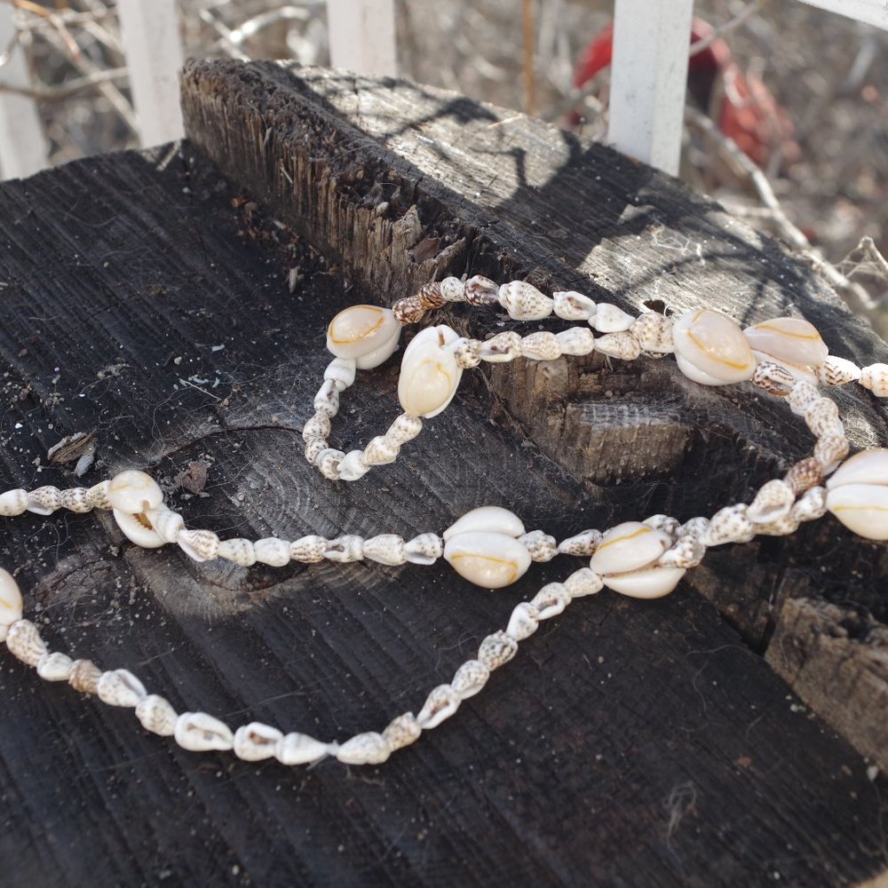 Natural Sea Shell Hawaii Necklace
